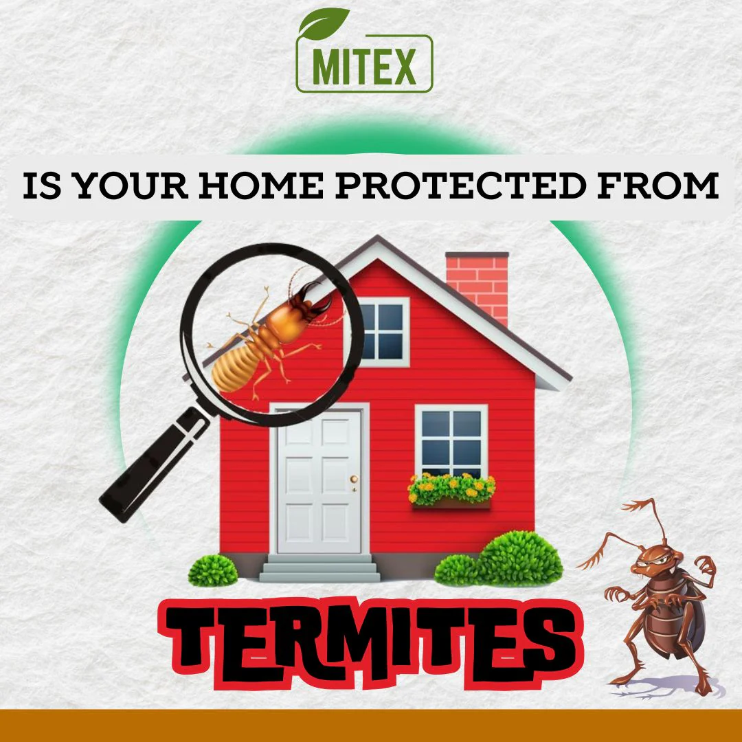 Termite Killer Spray - Effective Pest solution Buy 1 Get 2 Free